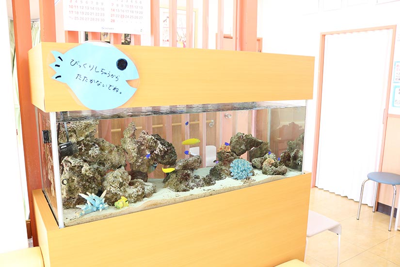 待合室には水槽があります